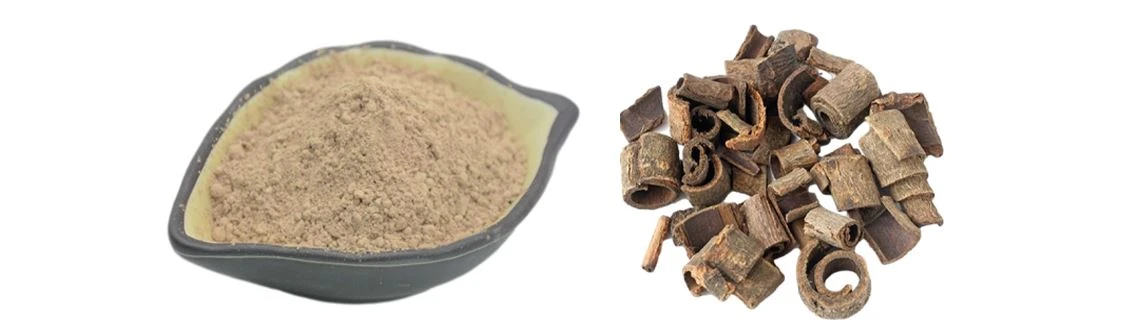 Photo of Magnolia Bark Officinalis Extract with magnolol 10% by Botanical Cube Inc.