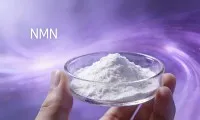 Koji je najbolji NMN dodatak?